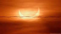 Éclipse partielle solaire photographiée au lever du jour sur une plage du Massachussets. ©&nbsp;Zev Hoover, Christian Lockwood, Zoe Chakoian, Apod (Nasa)