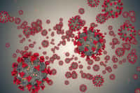 Les cas de réinfection par le coronavirus sont rares mais possibles. © Donfiore, Adobe Stock