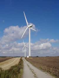 Les unités de dessalement-filtration utilisées dans le cadre du projet Wind4Water seront alimentées par des éoliennes&nbsp;identiques à celles à l’image. Il existe deux tailles de rotor disponibles pour les éoliennes Aeronautica Windpower de 750 kW : 47 et 54 m. Ils exécutent en moyenne 23 tours par minute lorsqu'ils génèrent&nbsp;la puissance nominale.&nbsp;© Aeronautica Windpower