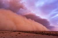 Les grandes tempêtes de sable du désert envoient de la poussière dans l'atmosphère et les océans. © JSirlin, Adobe Stock
