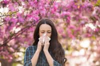 En France, quelque 30 % des adultes sont concernés par les allergies au pollen. © Budimir Jevtic, Adobe Stock