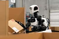 Le robot Apollo travaille dans un entrepôt. © Apptronik
