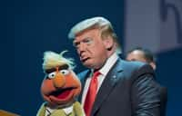 Donald Trump représenté en compagnie d’un personnage du Muppet Show. © Brayden Jaselle