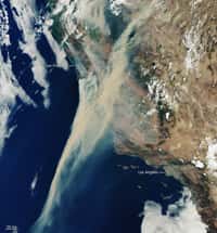 Les incendies en Californie, qui font rage en ce moment, vus de l'espace par le satellite Sentinel-3. © contains Copernicus Sentinel (2020), processed by ESA, CC by-sa 3.0, IGO