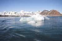 Vague de chaleur et fonte précoce des glaces en Arctique inquiètent la communauté scientifique. © Incredible Arctic, Adobe Stock