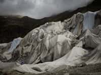 « Glacier Requiem » est la photo gagnante du concours « nature et climat » de la Royal Society of Biology. © Paulo Sousa