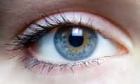 Les yeux bleus semblent plus sensibles à la lumière du Soleil que les autres. © Laitr Keiows, Wikipedia
