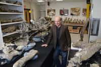 Kenneth Lacovara, membre de l'équipe, pose à côté de vertèbres dorsales&nbsp;appartenant à Dreadnoughtus schrani. D'autres éléments du squelette, dont la queue (au fond), sont installés autour de lui. © Drexel University