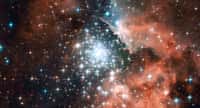 Sommes-nous faits de poussières d'étoiles ? Ici, la région de formation stellaire NGC 3603. Ces centaines d’étoiles nouveau-nées ont agrégé le gaz et la poussière qui les entourent comme l’a fait notre Soleil il y a 4,6 milliards d’années. © Nasa, ESA, Hubble Heritage (STScI/AURA)