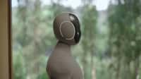 Le robot Neo Gamma, conçu pour les tâches ménagères. © 1X Technologies