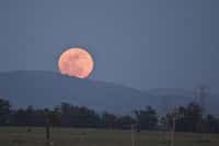 Le 10/08/2014 : la Lune sera pleine et elle sera aussi la plus grande de l'année. © Futura-Sciences