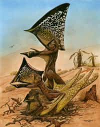 Reconstitution du ptérosaure Caiuajara dobruskii, qui se fait remarquer par son impressionnante crête au-dessus du crâne. Ces animaux, du moins ceux qui ont été retrouvés au sud du Brésil, dépassaient deux mètres d'envergure pour les plus grands.&nbsp;© Maurilio Oliveira,&nbsp;Museu Nacional-UFRJ,&nbsp;CC-BY