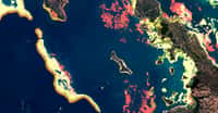 Carte benthique des récifs coralliens de la Nouvelle-Calédonie. Ce type de carte modélise la présence du corail, des micro-algues, de la roche, de débris, de sable et d’herbiers marins. © Planet, Allen Coral Atlas