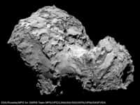 Parvenue à environ 100 km, Rosetta a pris cette image le 6 août 2014 de la comète 67P/Churyumov-Gerasimenko. Elle montre un corps tourmenté, criblé de cratères parfois en nid d'abeille. La surface, très irrégulière, est façonnée par les expulsions gazeuses produites par l'échauffement dû au Soleil. Depuis ce matin, nombre de spécialistes sont en train de décrypter ce paysage. La sonde devra rester tout près de ce corps durant des mois et s'en approcher suffisamment pour larguer Philae, un atterrisseur de 100 kg. © Esa/Rosetta/MPS for Osiris Team/UPD/LAM/IAA/SSO/INTA/UPM/DASP/IDA