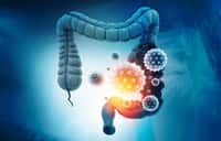 Le microbiote joue-t-il un rôle prépondérant dans l'évolution et la persistance des symptômes pendant et après l'infection ? © Rasi, Adobe Stock