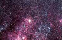Image obtenue avec le télescope Schmidt de l'ESO de la nébuleuse de la Tarentule dans le grand nuage de Magellan. Supernova 1987A est clairement visible en tant qu'étoile très brillante, au centre à droite. Au moment de cette image, la supernova était visible à l'œil nu. © Eso