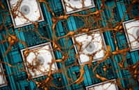 Une image de neurones de rat sur un réseau de nanoélectrodes. © Samsung