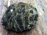 La serpentinite est une roche vert sombre, ultrabasique, provenant de l'altération de péridotites, constituée principalement d'antigorite (phyllosilicate magnésien). On la trouve associée aux massifs ophiolotiques de la croûte océanique. Ici une serpentinite sur gneiss. © Gabriel HM, Wikipédia, cc by sa 4.0 