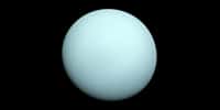 Uranus photographiée par Voyager 2. © Nasa