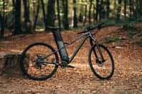 Le vélo électrique WhaTTfornow est une innovation française. © WhaTTfornow