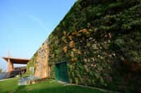 Vue générale du plus grand jardin vertical au monde, à Rozzano, près de Milan.&nbsp;Il a fallu 90 jours pour y&nbsp;installer les plantes.&nbsp;© AFP Photo/Olivier Morin
