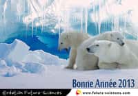 Les ours polaires souhaitent aux humains de bien s'occuper de la planète en 2013. Toutes nos cartes de vœux, derrière ce clic. © Futura-Sciences