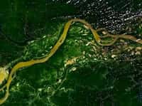 D'après le WWF, la forêt amazonienne pourrait avoir perdu 55 % de sa surface en 2030. Crédit Nasa