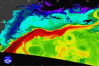 Le Gulf Stream transporte les masses d'eau chaude de Floride en suivant la côte est des États-Unis. Refroidies, elles dérivent vers le nord-est du bassin pour plonger en profondeur au Groenland, c'est la dérive nord-atlantique. ©  NOAA