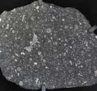 Une coupe de la météorite d'Allende. © Wikipedia-Shiny Things