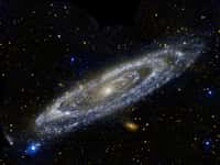 Une vue inhabituelle de la galaxie d'Andromède. M31 est ici prise en photo par Galaxy Evolution Explorer, un observatoire astronomique spatial destiné à l'observation de galaxies dans l'ultraviolet. Ses galaxies satellites défient pour le moment les prédictions du modèle de matière noire froide. Il semble que Mond, c'est-à-dire des modifications des lois de Newton, soit un cadre plus pertinent pour comprendre ces galaxies. © Nasa