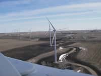 Le parc éolien Ashtabula II (Dakota du Nord, Etats-Unis), investi par le géant de l'informatique. © Google