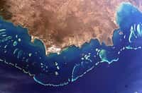 La Grande Barrière de Corail au large de l’Australie, vue depuis la Station Spatiale Internationale. Crédit Nasa