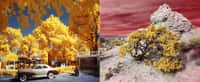 Deux images de la série « Utah » et qui ont remporté le premier prix catégorie essai au concours de photographie infrarouge organisé par Kolari Vision. © Luciano Demasi