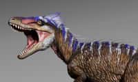 Moros intrepidus, le petit cousin du Tyrannosaurus rex, était beaucoup plus véloce que son aîné. © Jorge Gonzalez