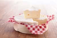 La moisissure de camembert a été spécialement adaptée à la production de fromage. © M.studio, Adobe Stock