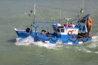 De plus en plus de bateaux, de moins en moins de captures : les stocks de poisson s’amenuisent. © guitou60, Fotolia