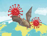23 espèces de chauves-souris abritent des coronavirus susceptibles d’être transmis à l’Homme. © Vectorfair.com, Adobe Stock