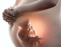 Des mères atteintes de cancer ont transmis des cellules tumorales à leur enfant durant la grossesse. © Cliparea.com, Adobe Stock