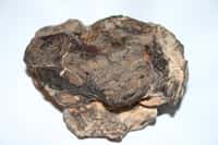 Une protéine inconnue sur Terre a été identifiée dans une météorite. © Astrowoosie, Flickr
