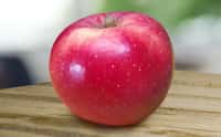 La pomme HOT84A1, qui sera cultivée en Espagne, résiste aux canicules et au soleil. © T&G Global