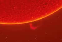 L’extrême résolution permet de distinguer des détails très fins, comme cette spicule, un jet de gaz chaud éjecté de la surface du soleil à plus de 20 km/s. © Andrew McCarthy