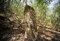 Les glyphes gravés sur les stèles dressées Maya servaient essentiellement à glorifier les rois, par exemple en rapportant des événements marquants de leurs règnes.&nbsp;© Inah