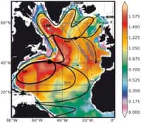 L'absorption du dioxyde de carbone en Atlantique nord. Basé sur plusieurs campagnes hydrographiques (les tirets bleus), ce schéma met en évidence la relation entre les courants océaniques (lignes blanches et noires) et le taux d’accumulation moyen du CO2 anthropique, en moles d'atomes de carbone par m2 de surface océanique et par an (les zones colorées). Les flèches noires indiquent les courants de surface : le Gulf Stream (GS) et le courant nord-atlantique (NAC). Les flèches grises montrent les courants intermédiaires, c'est l'eau du Labrador (LSW, Labrador Sea Water) et les blanches dessinent les courants profonds : DSOW (Denmark Strait Overflow Water) et ISOW (Iceland-Scotland Overflow Water), c'est-à-dire les eaux profondes coulant vers le sud entre le Groenland et l’Écosse. © INSU, CNRS
