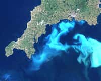 Vastes concentrations de l'algue Emiliania huxleyi au sud de la Grande-Bretagne, vues par satellite. Crédit Nasa