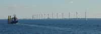 Si le vent diminue à l'intérieur des terres, à l'avenir, les éoliennes offshores seront peut-être plus sûres que les éoliennes terrestres. Ici on voit le parc offshore au large de Copenhague en Norvège. © Leonard G., Wiki Commons, cc sa-1.0