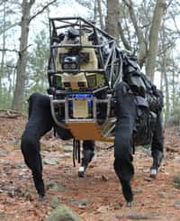 Surnommé AlphaDog, le LS3 a la taille d’un grand cheval. Il est bardé de capteurs qui lui permettent de se déplacer de façon autonome en reconnaissant le terrain. © Darpa/Boston Dynamics
