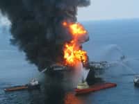 Deepwater Horizon était une plateforme pétrolière louée par la compagnie britannique BP. Plus de 400 espèces animales ont été menacées par la marée noire provoquée par son explosion. © US Coast Guard, DP