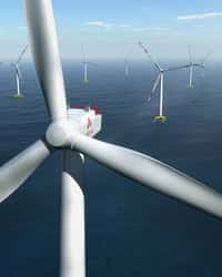 Un champ d'éoliennes fabriquées par Areva, chacune ayant une puissance de 8 MW. Il ne s'agit bien sûr que&nbsp;d'un dessin qui préfigure ce que seront les deux sites des futurs chantiers, l'un près du Tréport et l'autre entre l'île d'Yeu et celle de&nbsp;Noirmoutier. © Areva, Dikdak