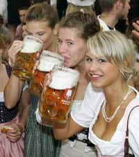 Sans Saccharomyces carlsbergensis issu des souches cerevisiae et eubayanus , pas de bière moderne et pas de fête de la bière pour ces jeunes munichoises. © DR