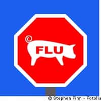 La grippe dite A(H1N1) poursuit sa progression. © Stephen Finn/Fotolia